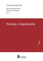 NORMA E IMPUTACIÓN