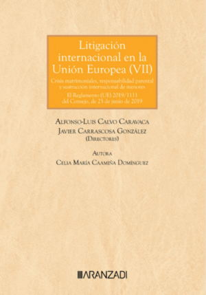 LITIGACIÓN INTERNACIONAL EN LA UNIÓN EUROPEA (VII)