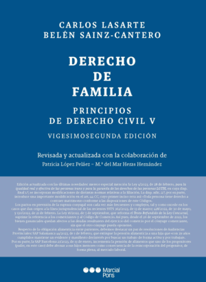 PRINCIPIOS DE DERECHO CIVIL V. DERECHO DE FAMILIA. 22ª ED.